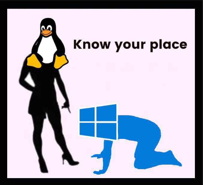 Linux x Windows BDSM